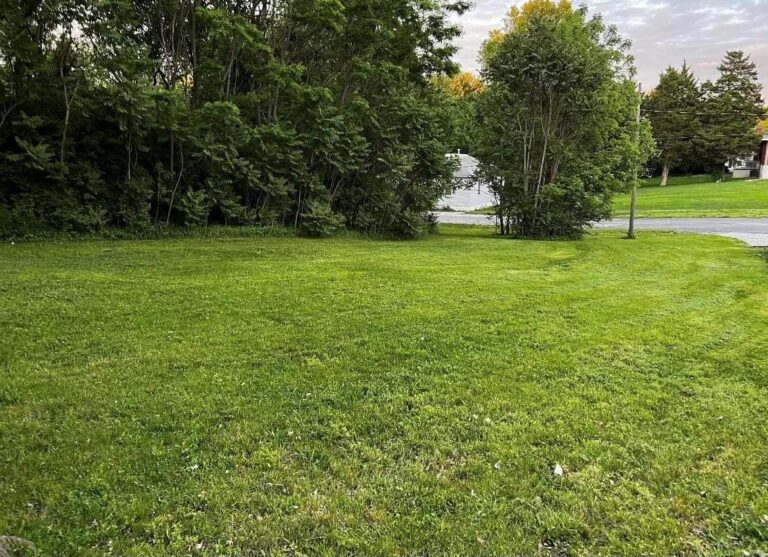 125 Wood Street