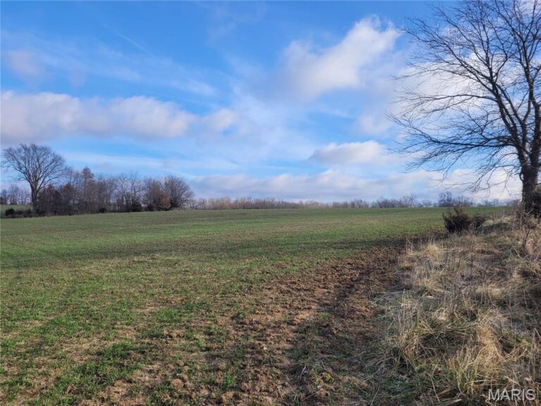 Bales Rd. (26.5+/- Acres)