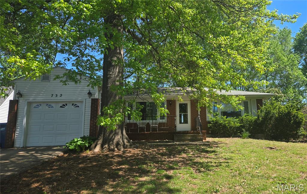 MIS26024239 primary