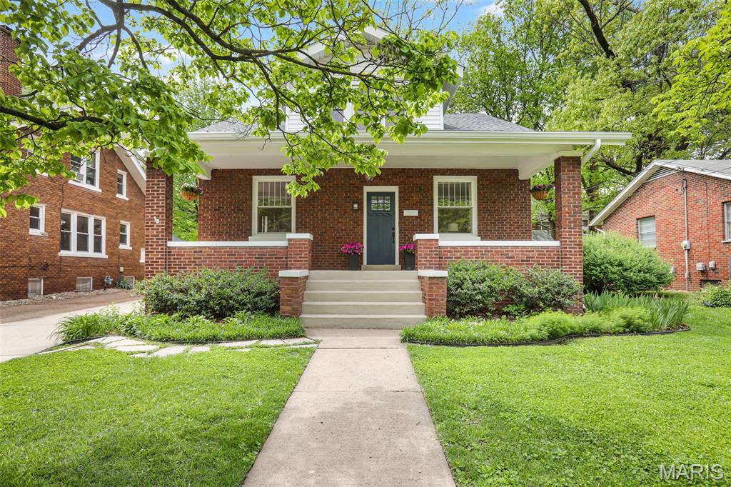 MIS26025385 primary