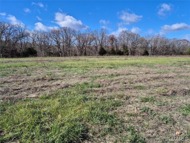 Logan School Rd. (15.2+/- Acres)