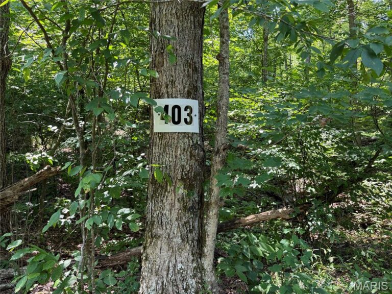 #403 Madison 410