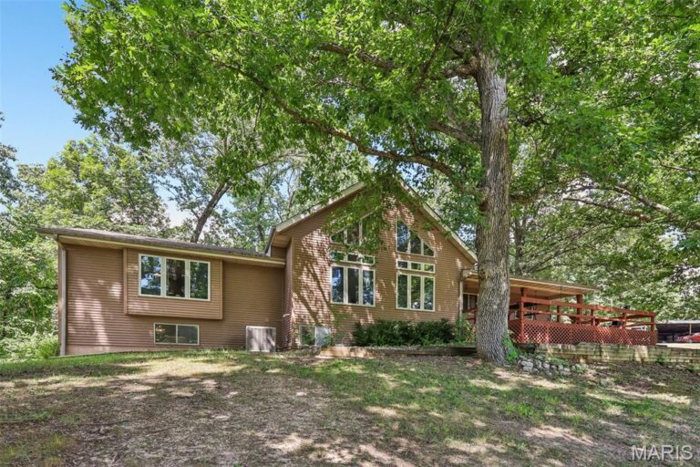 11706 Walshville Trail