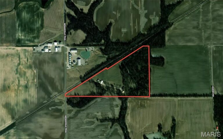 1406 Niemanville Trail