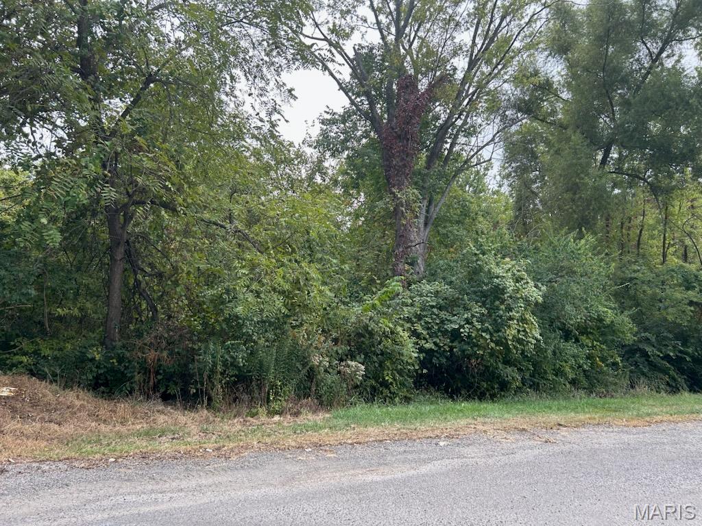 TBD COLE Street, Vandalia IL — Photo 1