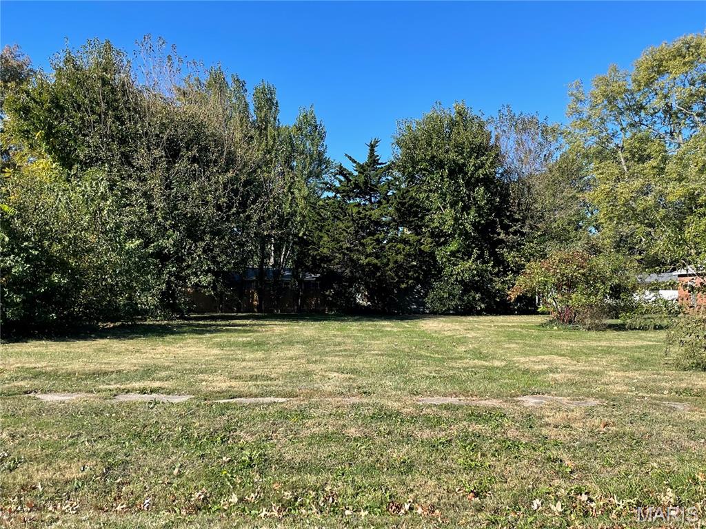TBD N Madison Street, Litchfield IL — Photo 1