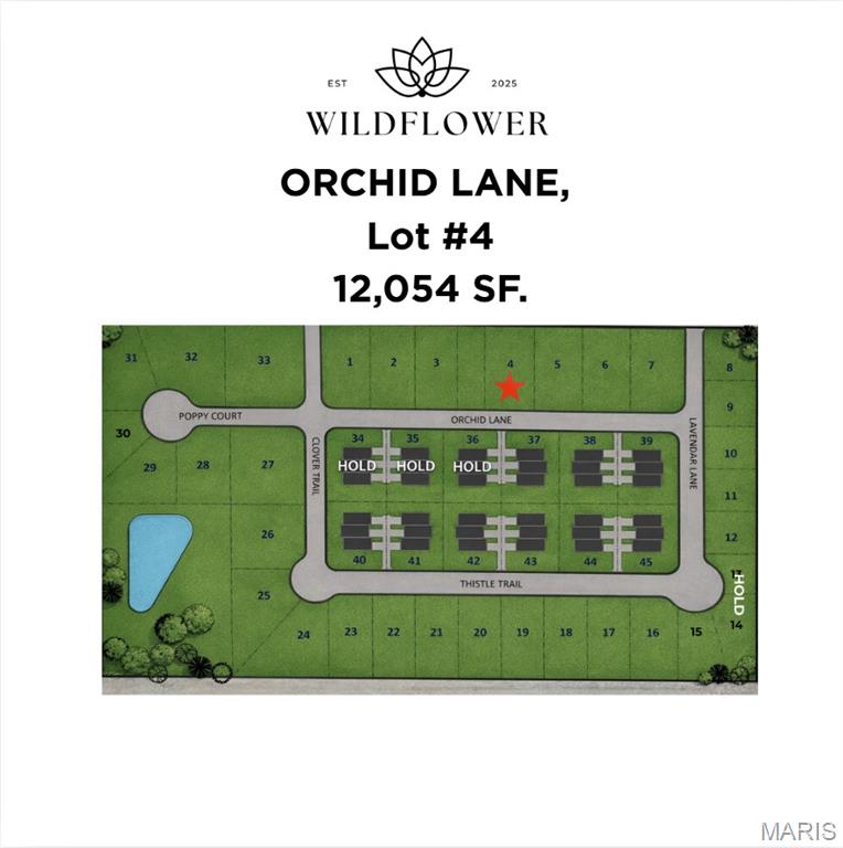 1217 Orchid Lane