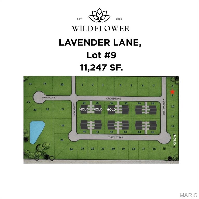 1204 Lavender Lane