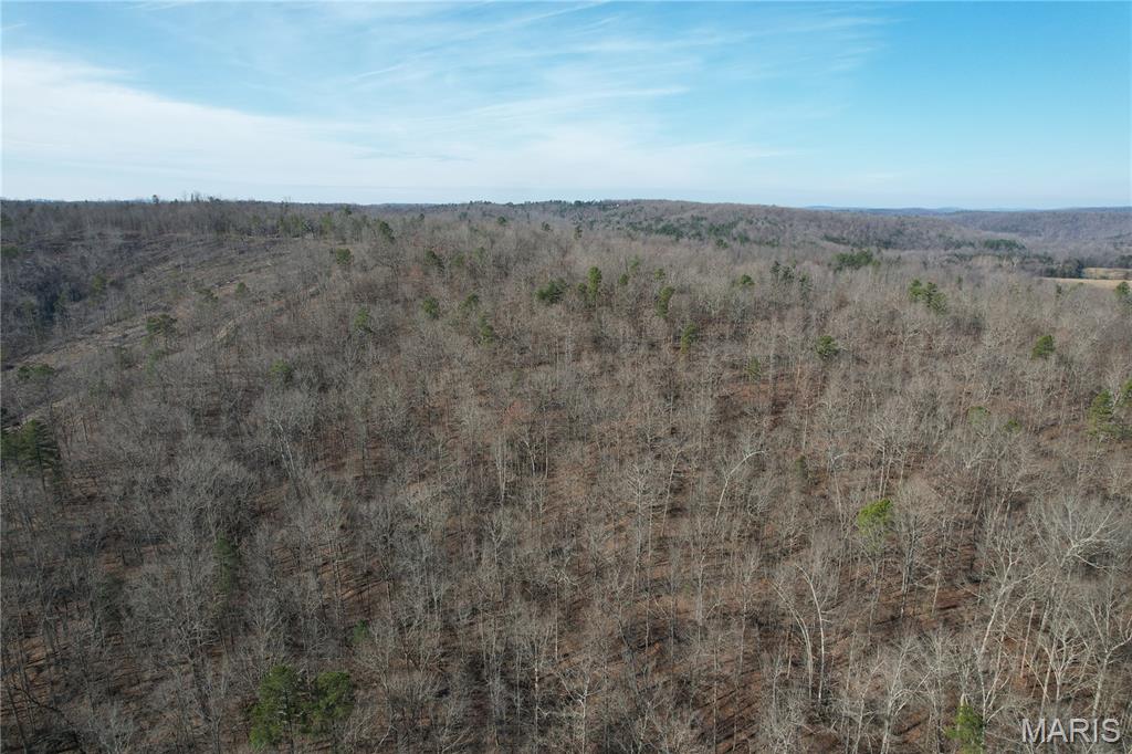 10535 Hwy 67, Fredericktown MO — Photo 1