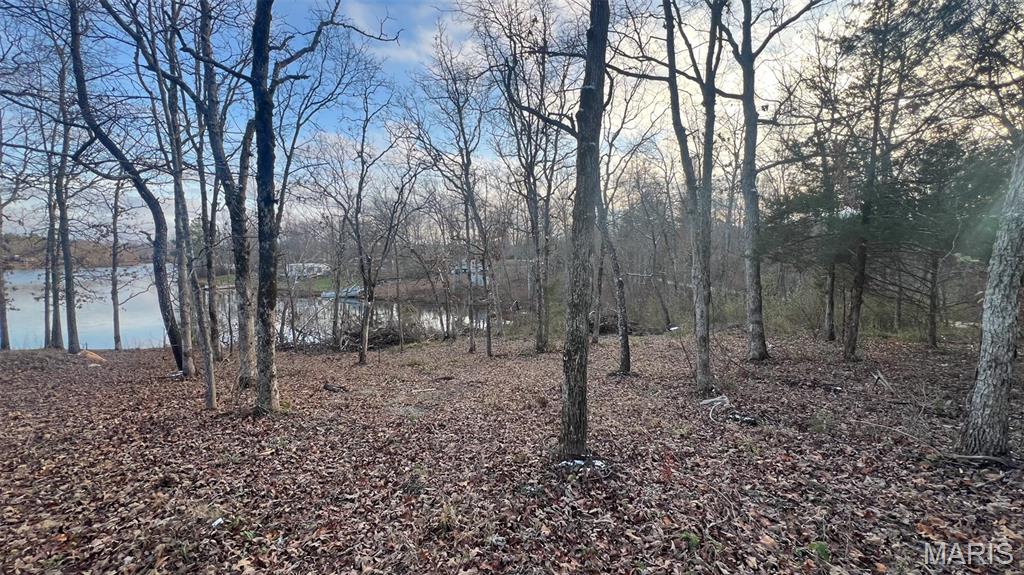 0 Lot 27 Lake Harmony, Fredericktown MO — Photo 1