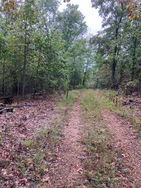 179 Madison CR 410, Fredericktown MO — Photo 1
