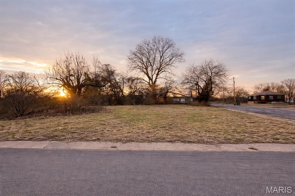 217 2nd Street, Madison IL — Photo 1