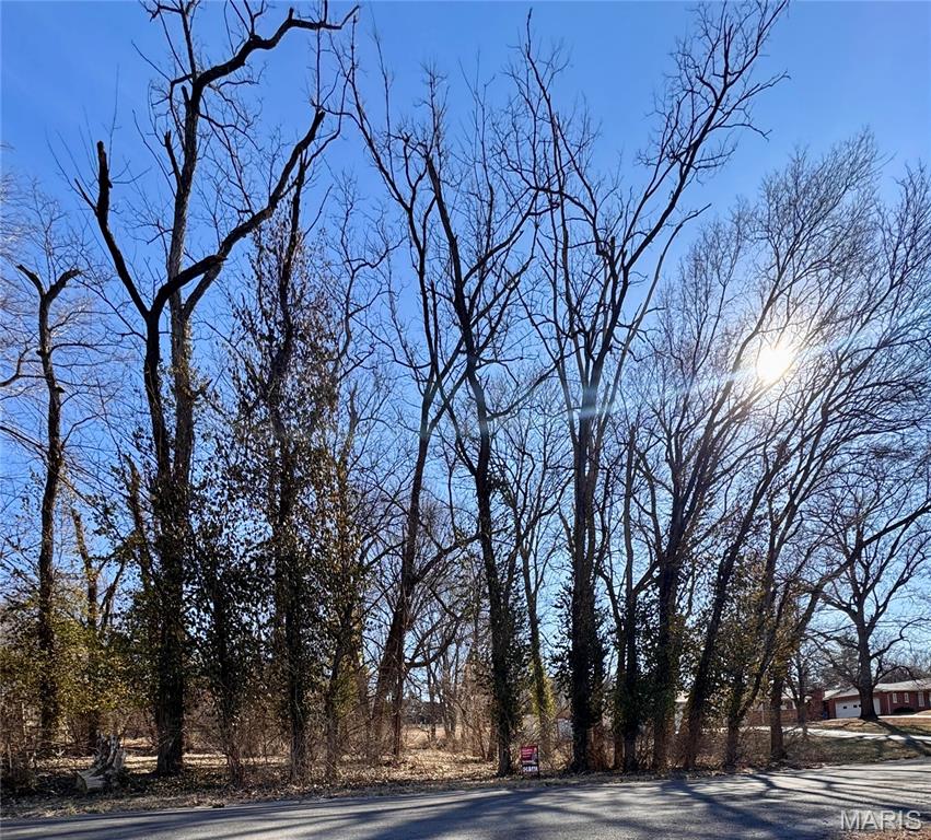 0 Hillcreek Road, Collinsville IL — Photo 1