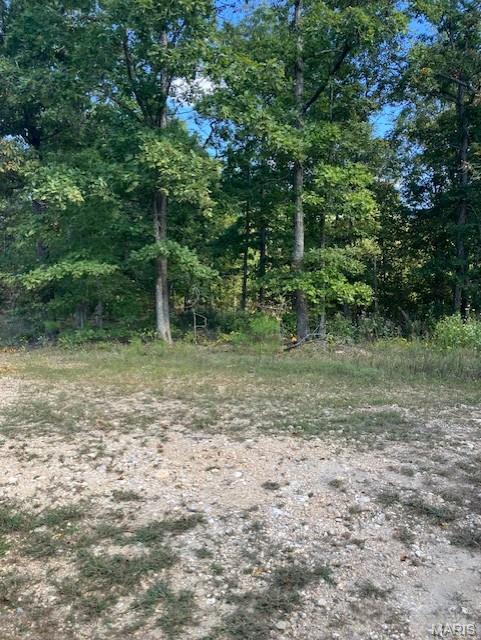 188 Madison CR 410, Fredericktown MO — Photo 1