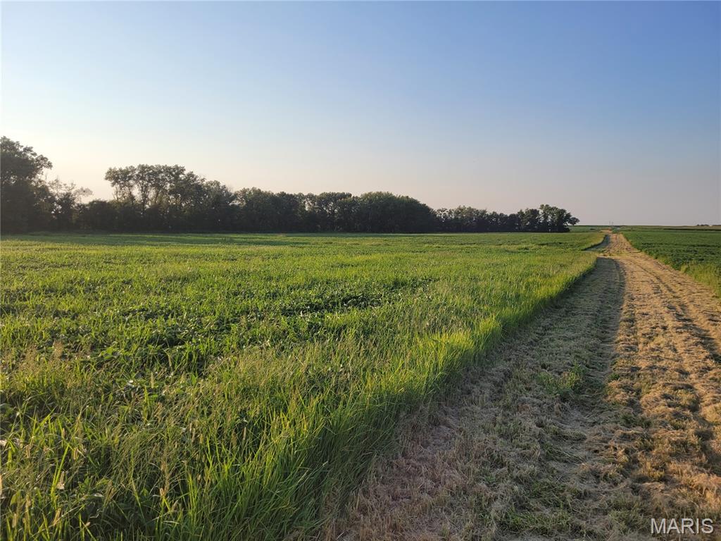 0 Hwy DD (46+/- Ac) Tract F, Bellflower MO — Photo 1