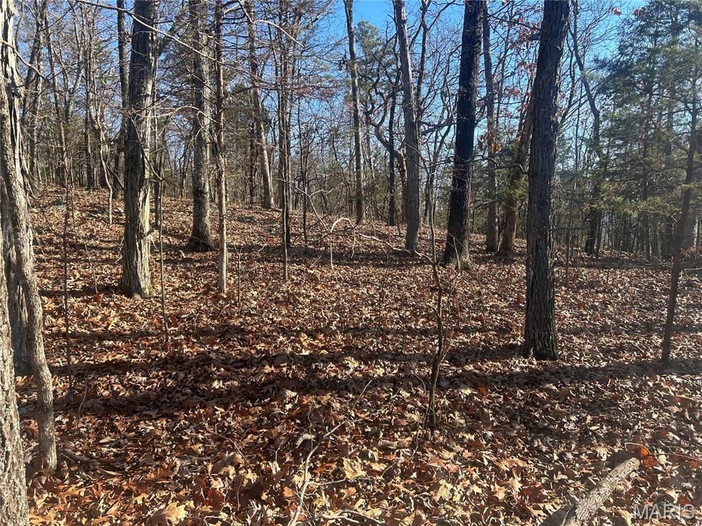 305 Madison CR 410, Fredericktown MO — Photo 1