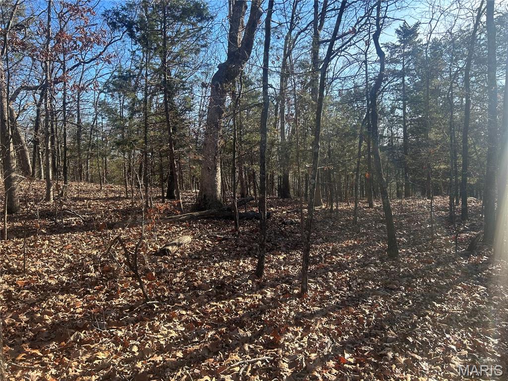 306 Madison CR 410, Fredericktown MO — Photo 1