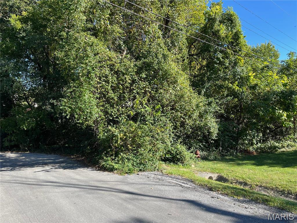 14 Michael Court, Bethalto IL — Photo 1