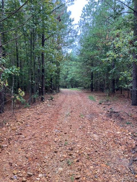 195 Madison CR 410, Fredericktown MO — Photo 1