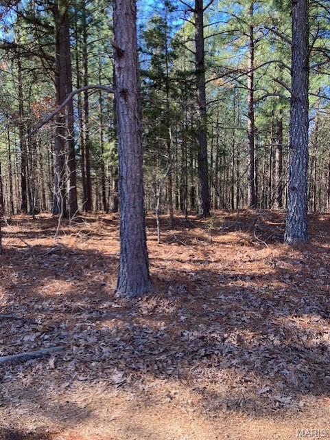 199 Madison CR 410, Fredericktown MO — Photo 1
