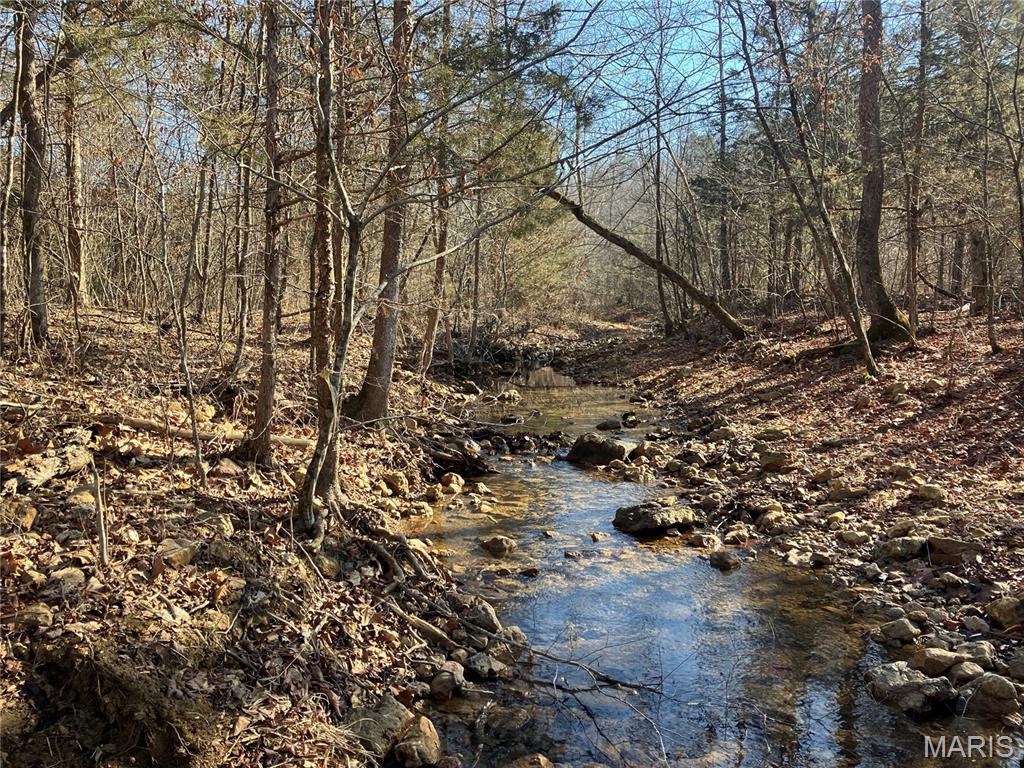 211 Madison CR 410, Fredericktown MO — Photo 1