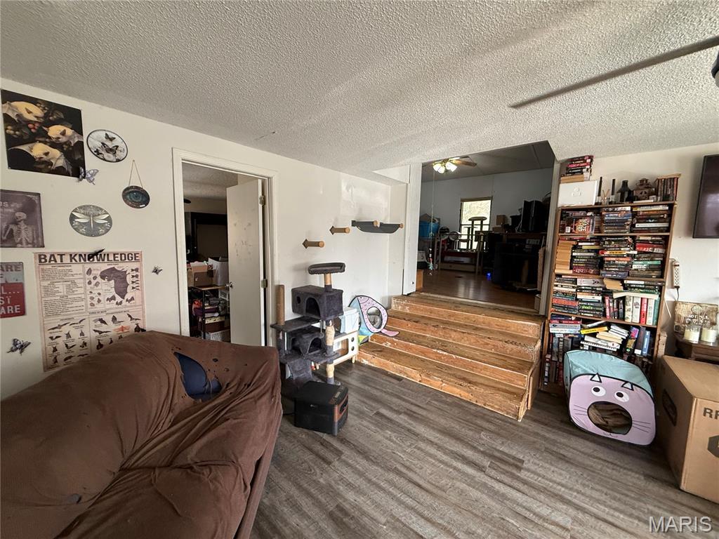 Photo 5