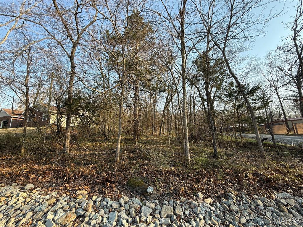 #88A South Deer Trail, Fredericktown MO — Photo 1