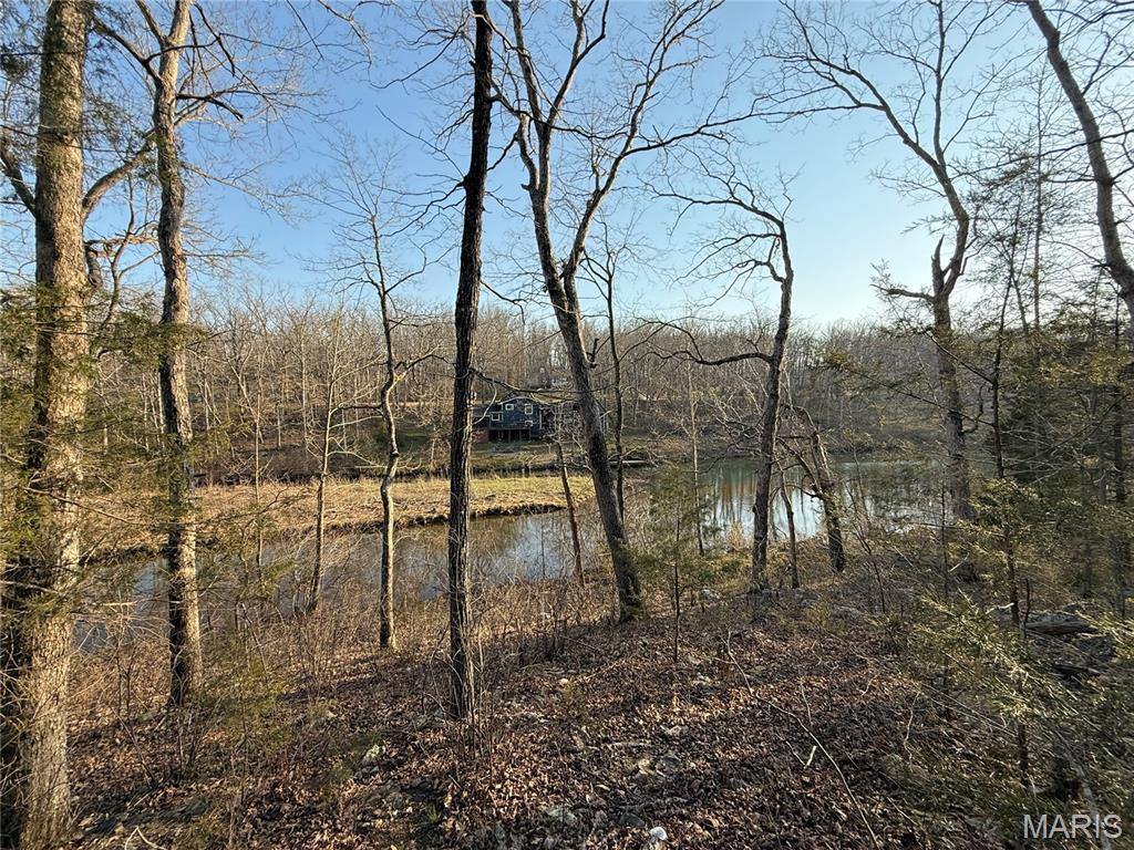 #411 North Deer Trail, Fredericktown MO — Photo 1
