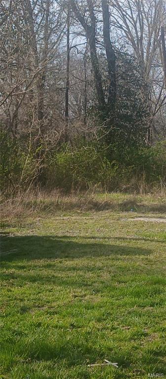 1012 Briggs Street, Edwardsville IL — Photo 1