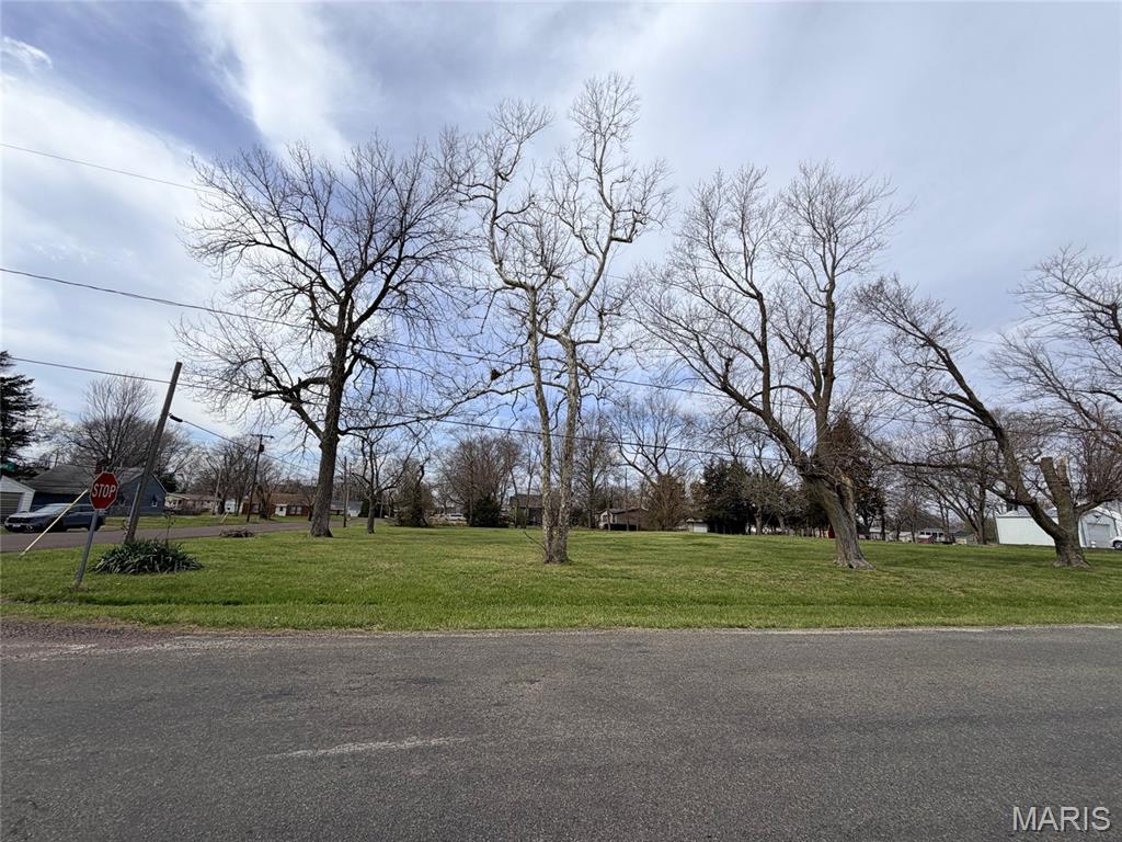 13007 Harrison Trail, Litchfield IL — Photo 1