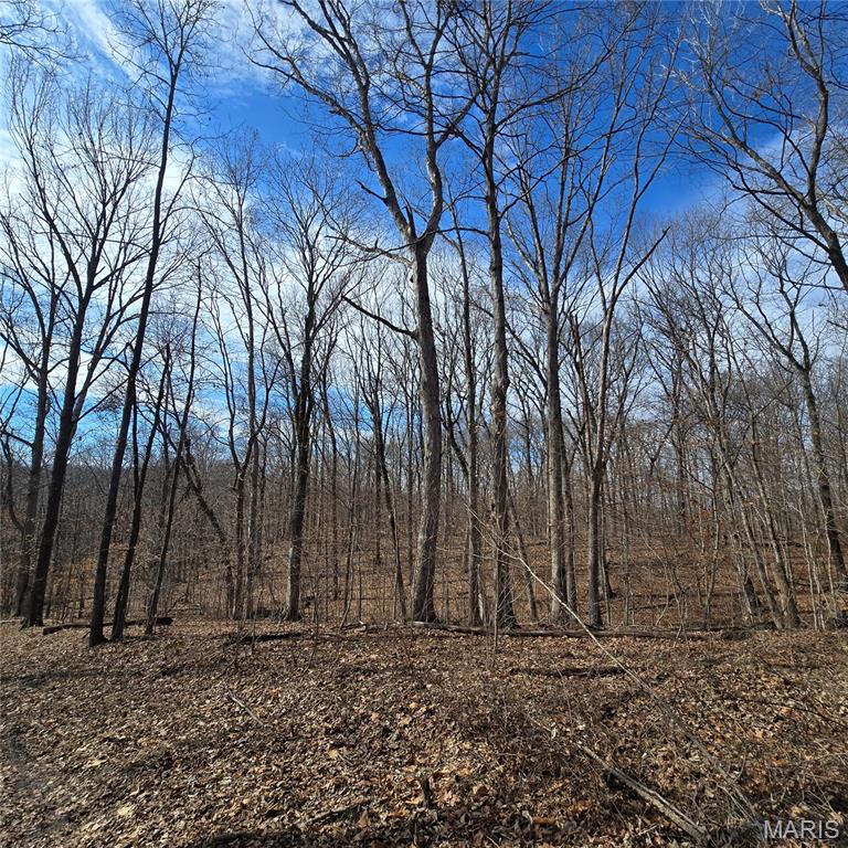 Photo 40