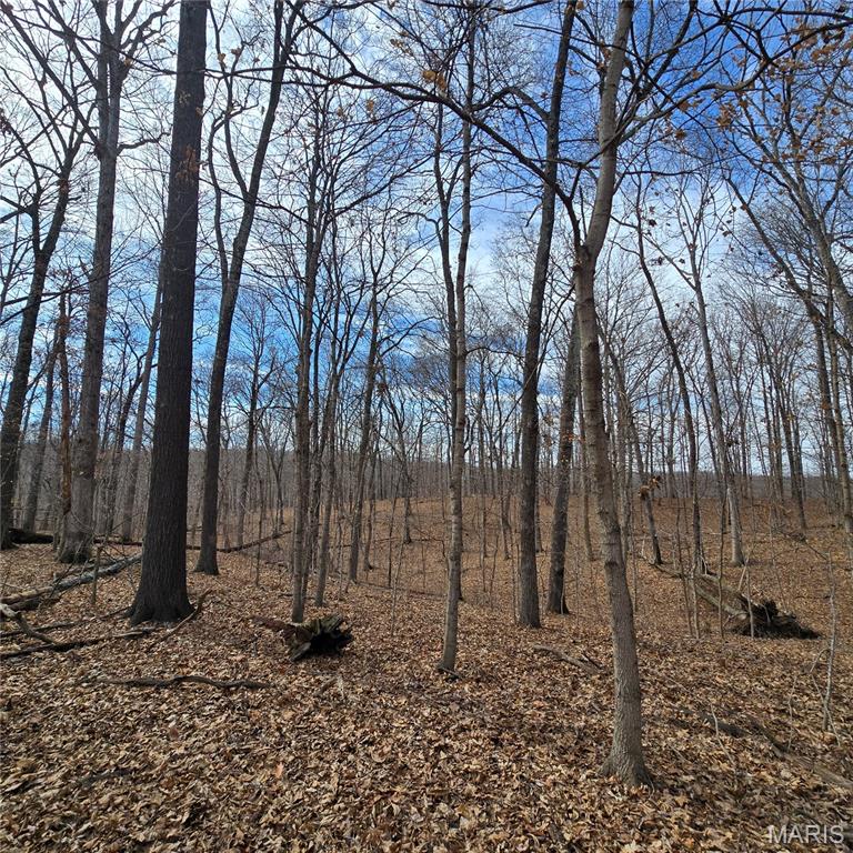 Photo 42