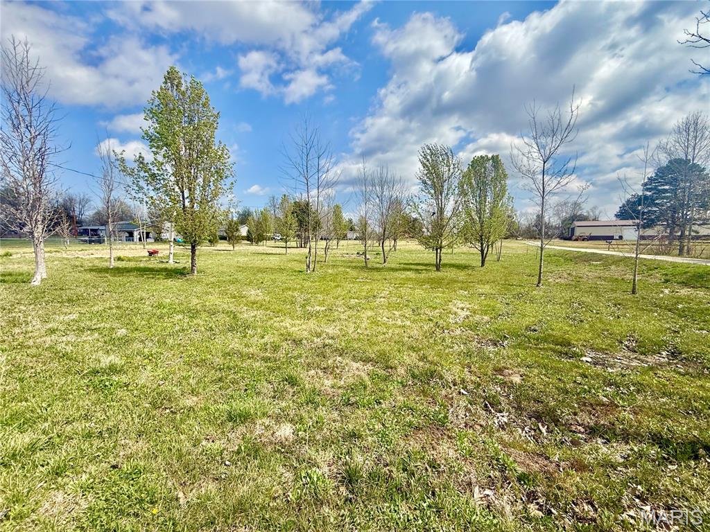 0 county road 334, Fredericktown MO — Photo 1
