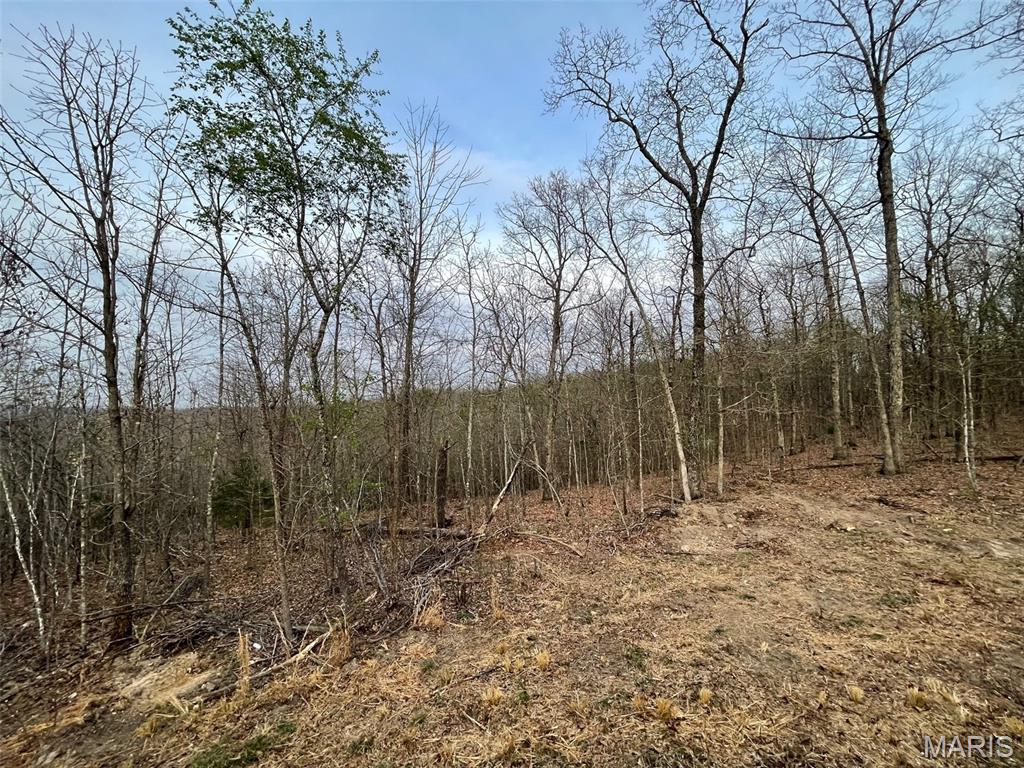 Photo 36