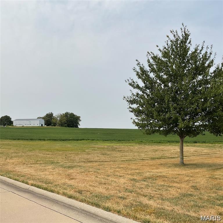 XXX FAITH DR, Highland IL — Photo 1