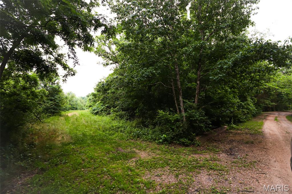 Photo 45