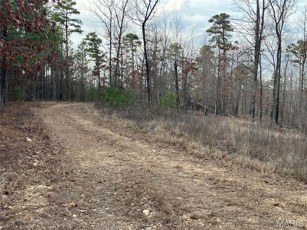 119C Madison CR 410, Fredericktown MO — Photo 1