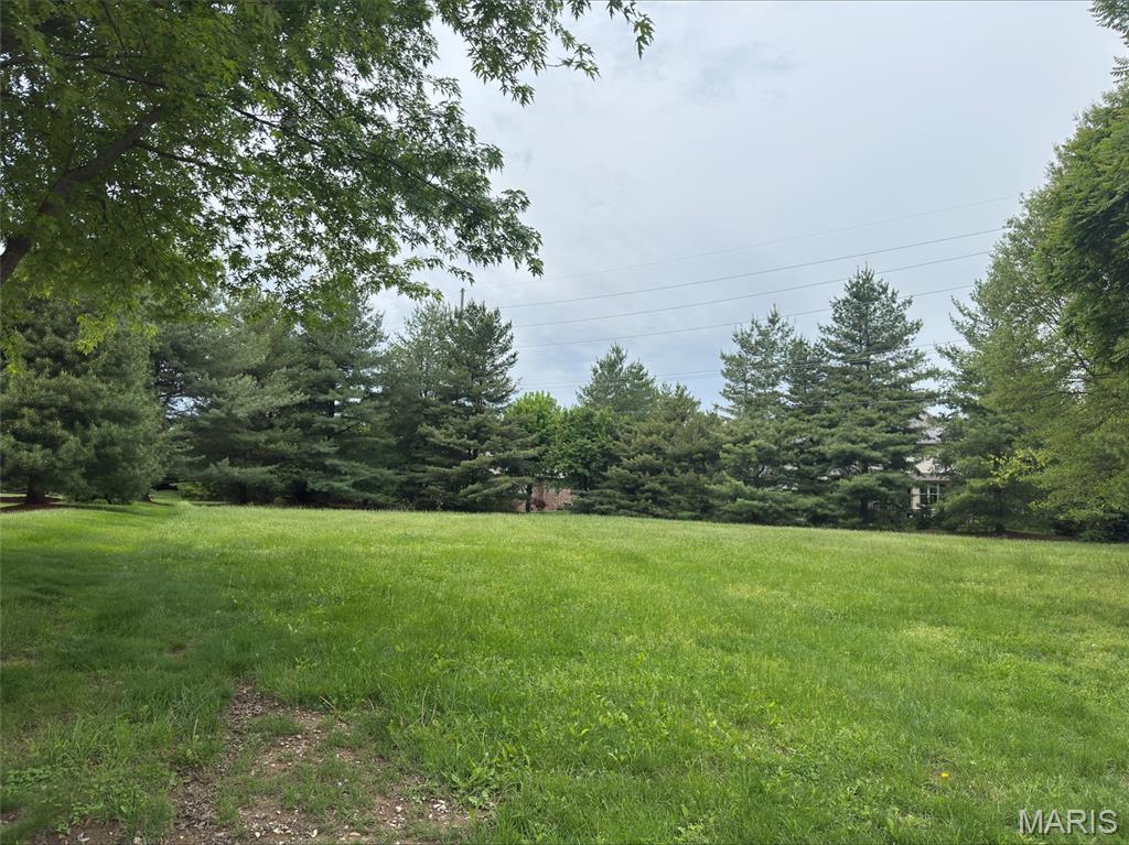 14 London Park Lane, Edwardsville IL — Photo 1