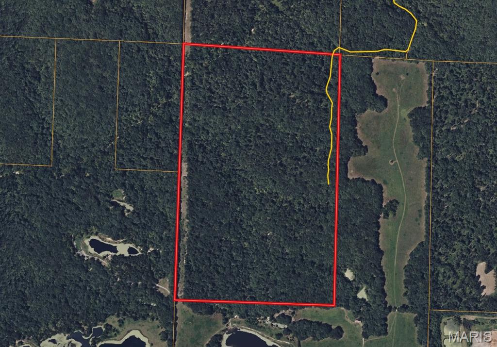 104 +/- AC Tree Farm Road, New Florence MO — Photo 1