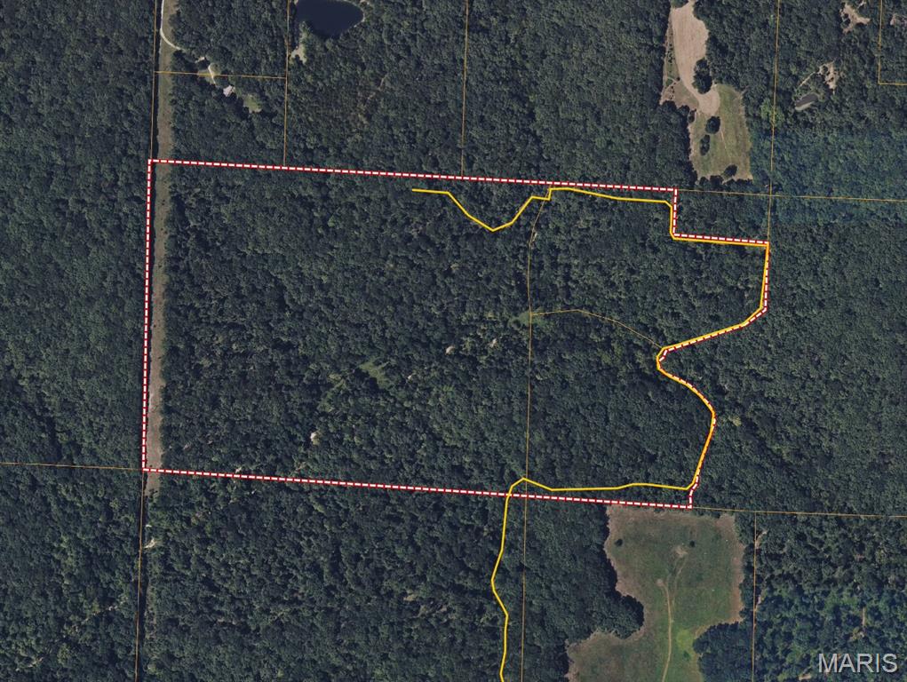 73 +/- AC Tree Farm Road, New Florence MO — Photo 1