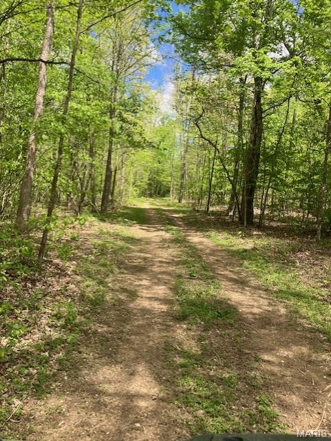 226 Madison CR 410, Fredericktown MO — Photo 1