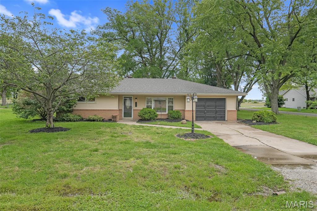 234 Wolf Avenue, Hamel IL — Photo 1