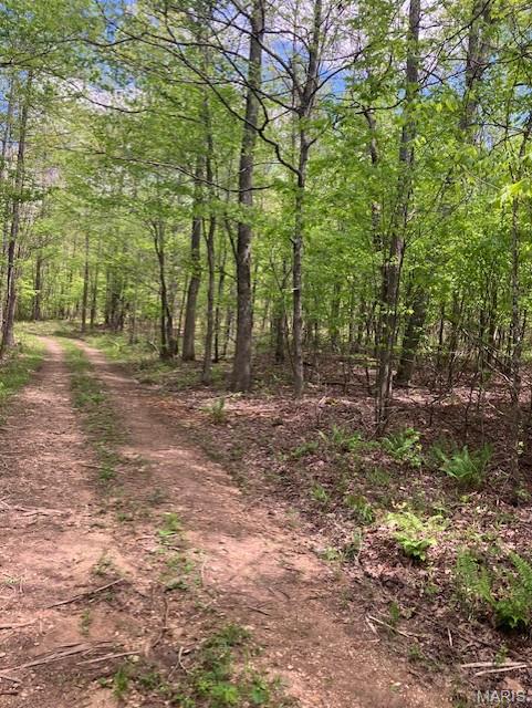 223 Madison CR 410, Fredericktown MO — Photo 1