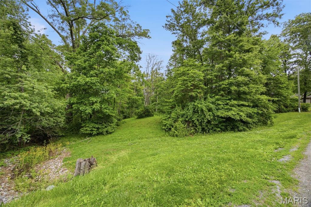 XXX Joseph Drive, Pocahontas IL — Photo 1