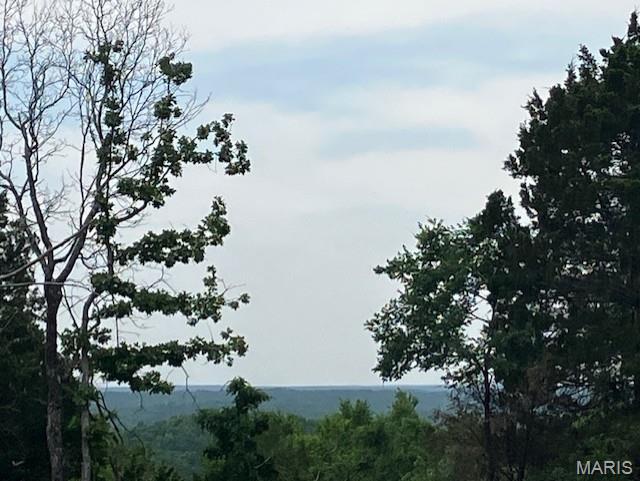 230 Madison CR 410, Fredericktown MO — Photo 1