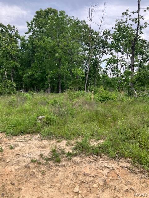 231 Madison CR 410, Fredericktown MO — Photo 1