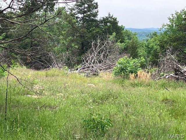 232 Madison CR 410, Fredericktown MO — Photo 1