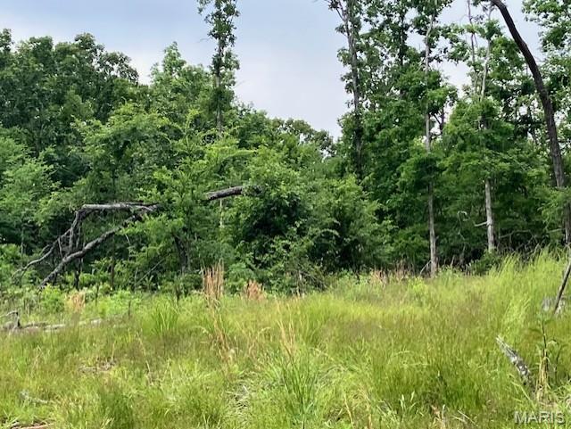 234 Madison CR 410, Fredericktown MO — Photo 1