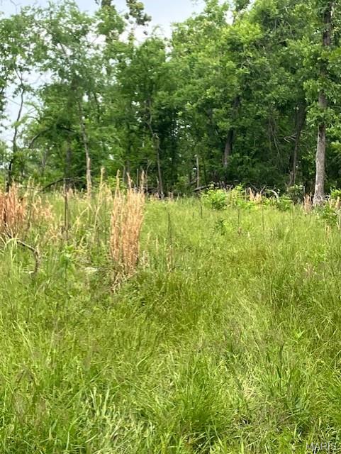 235 Madison CR 410, Fredericktown MO — Photo 1