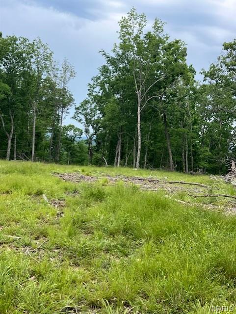 237 Madison CR 410, Fredericktown MO — Photo 1